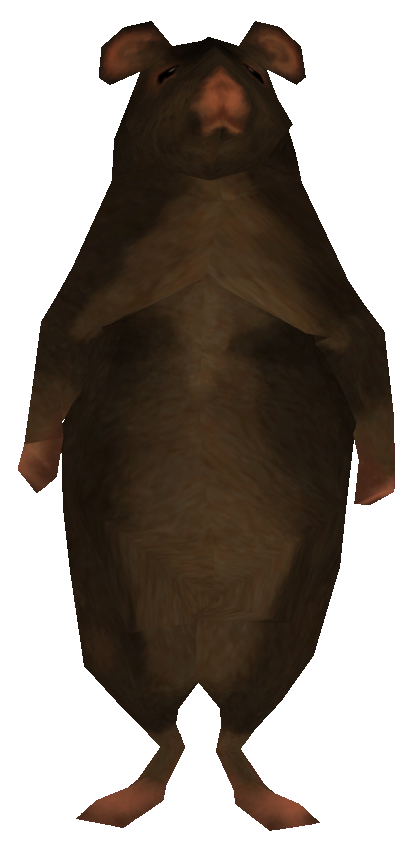 aexe_